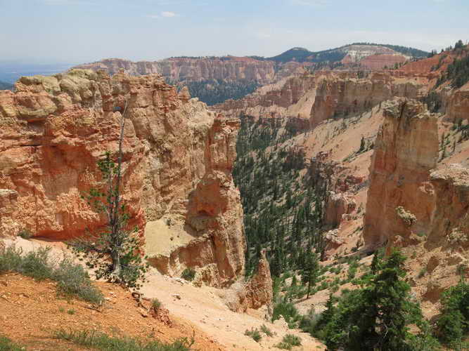 USA_2013-07-10 13-04-32_IMG_1499